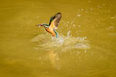 1_sammy-wong-oPEpjDZ1PuE-unsplash