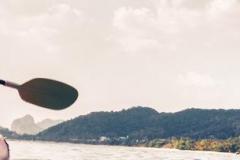 1541682093-chapman-banner